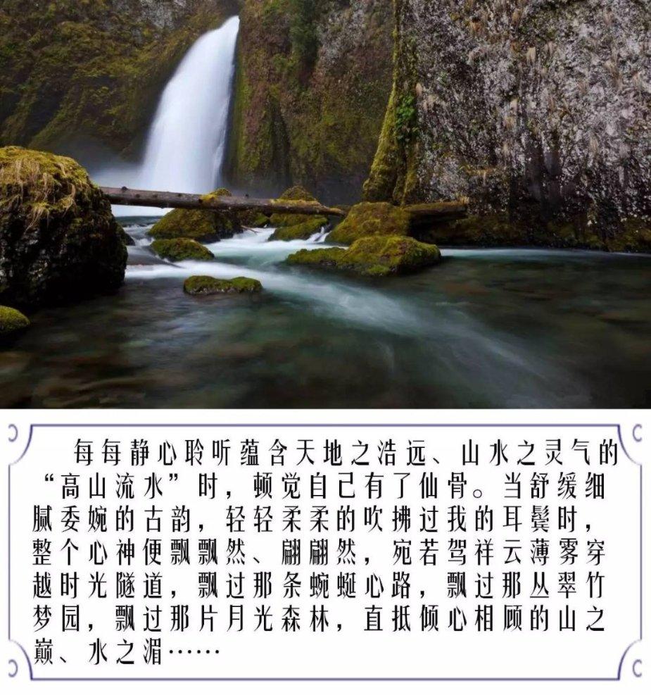 四川8死车祸遇难者家属发声,具体都透露了哪些消息?-专业的知识问答网页
